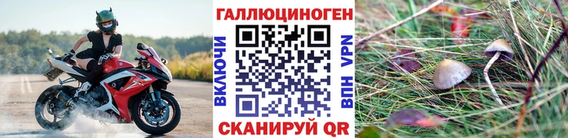 где купить наркоту  Гатчина  Галлюциногенные грибы мицелий 